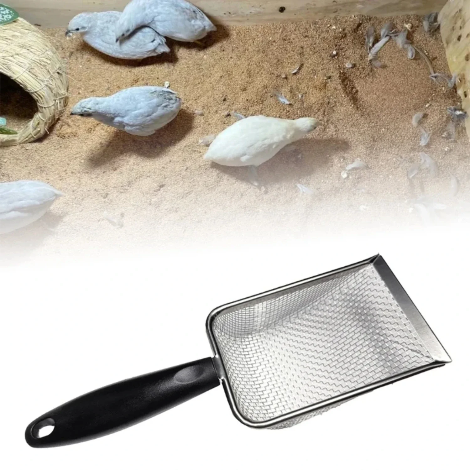 Convenient High-Quality Durable Stainless Steel Reptile Sand Scooper with Fine Mesh for Easy Substrate Maintenance - Reliable Es