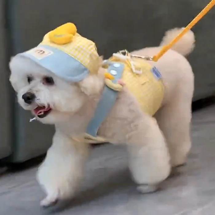 Three-piece Set Duck  Spring and Summer Pet Chest Harness Traction Rope Set Breathable Fabric For Cats & Puppies Suita