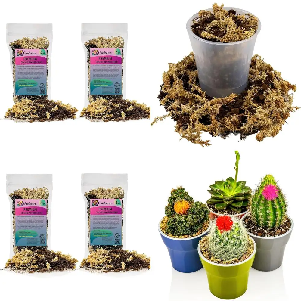 

Смесь для орхидей 10 кварт (2 упаковки по 5 кварт) - папоротник, кора новозеландской сосны, сфагнум, перлит для выращивания и пересадки орхидей