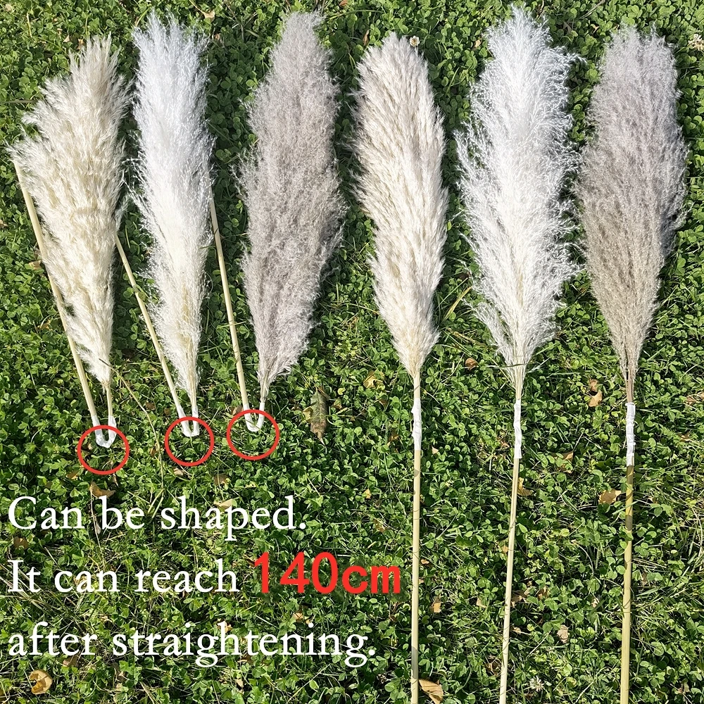 140cm Extra Large Pampas Grass, Fluffy Natural Dried Flower Bouquet, Tall Flower Decor for Boho Home, Vintage Wedding Decoration