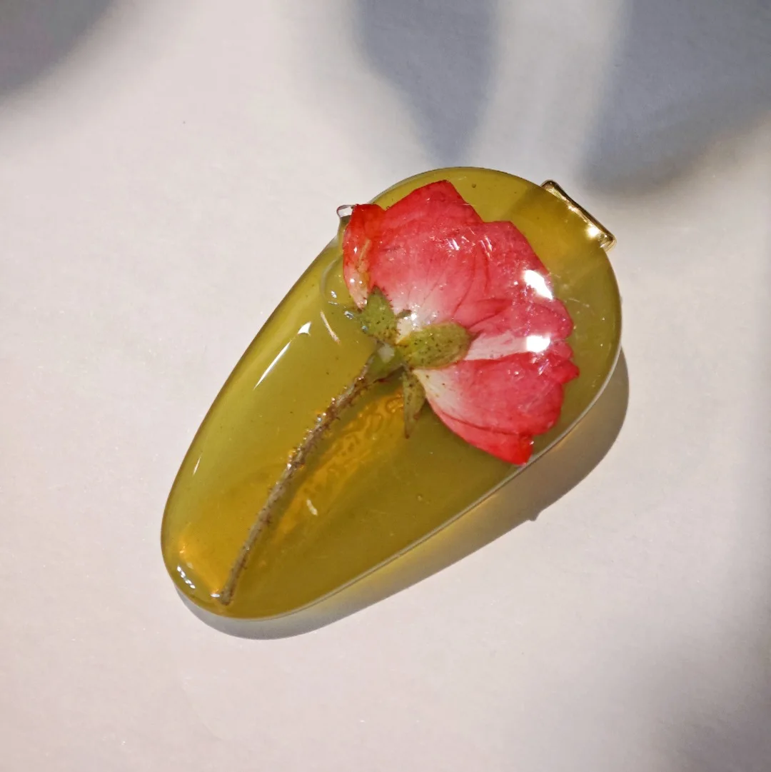 Spécimen de plantes séchées à la main, vraies fleurs, accessoires pour cheveux, Clip latéral Girly, cadeau créatif d'anniversaire de noël, vente en gros, 3288