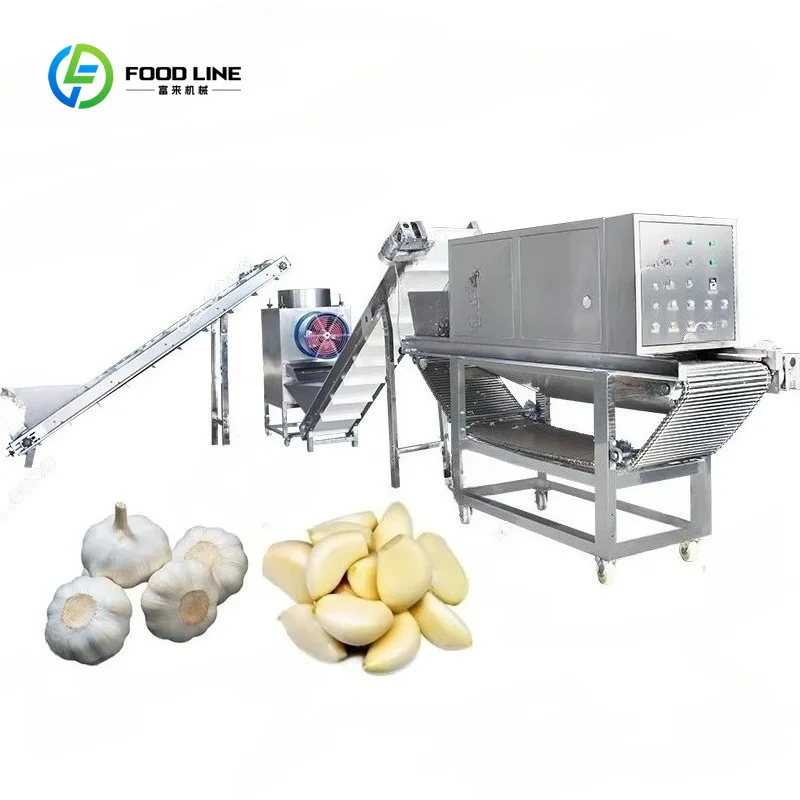 Customized 1Ton Small Chain Type Garlic Bulb Breaking Machine Industrial Garlic Peeler Garlic Peeling Machine