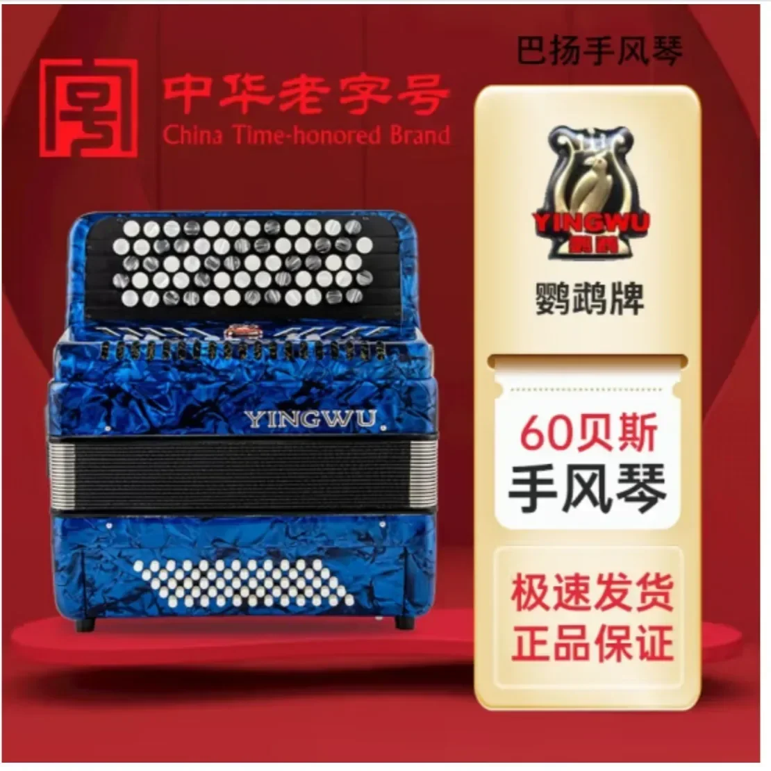 Accordion 60/96 Bass Button Type Beginner Test Adult