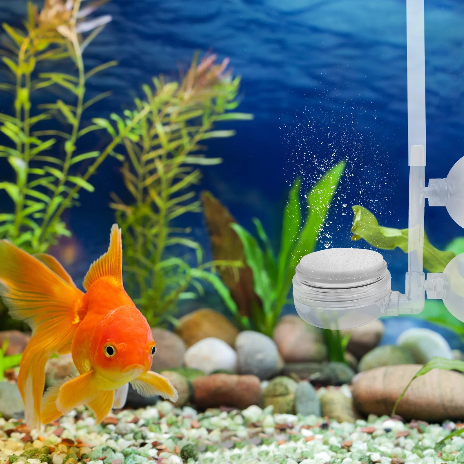 

5Pcs Air Stone Replacement Pad Low Pressure Oxygen Diffuser for Aquarium Fish Tank Bubbler Hydroponics System Aeration