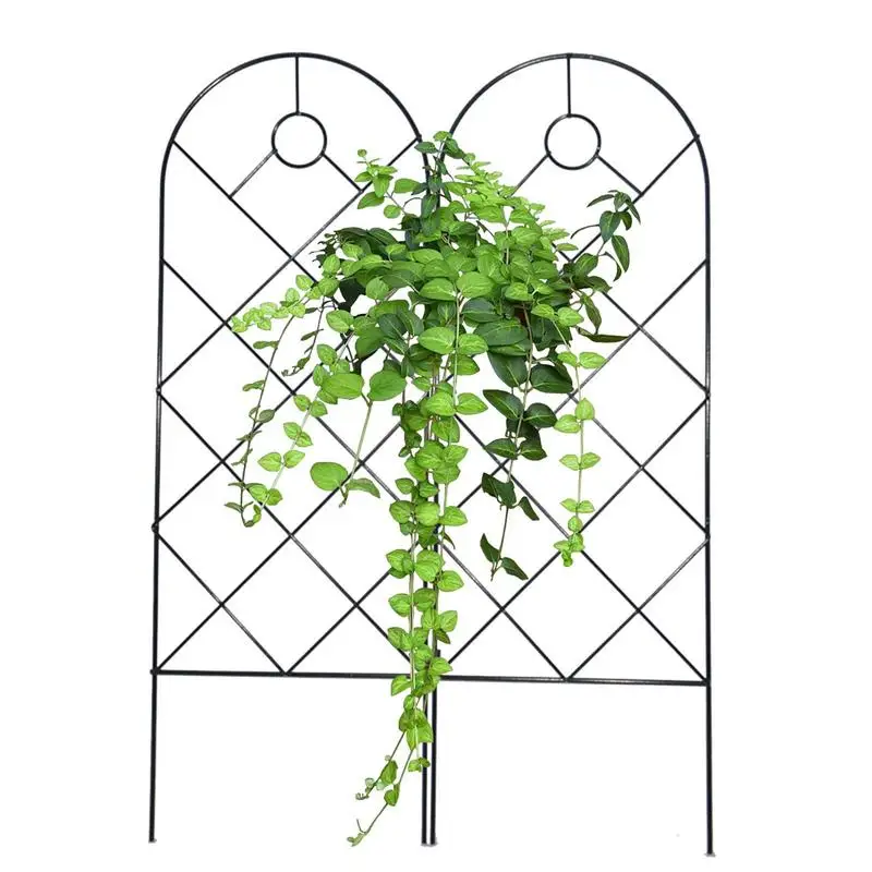 

Climbing Plant Trellis Garden Support Cages For Flower Plants Plant Trellis Metal Indoor Potted Plant Support Garden Decoration