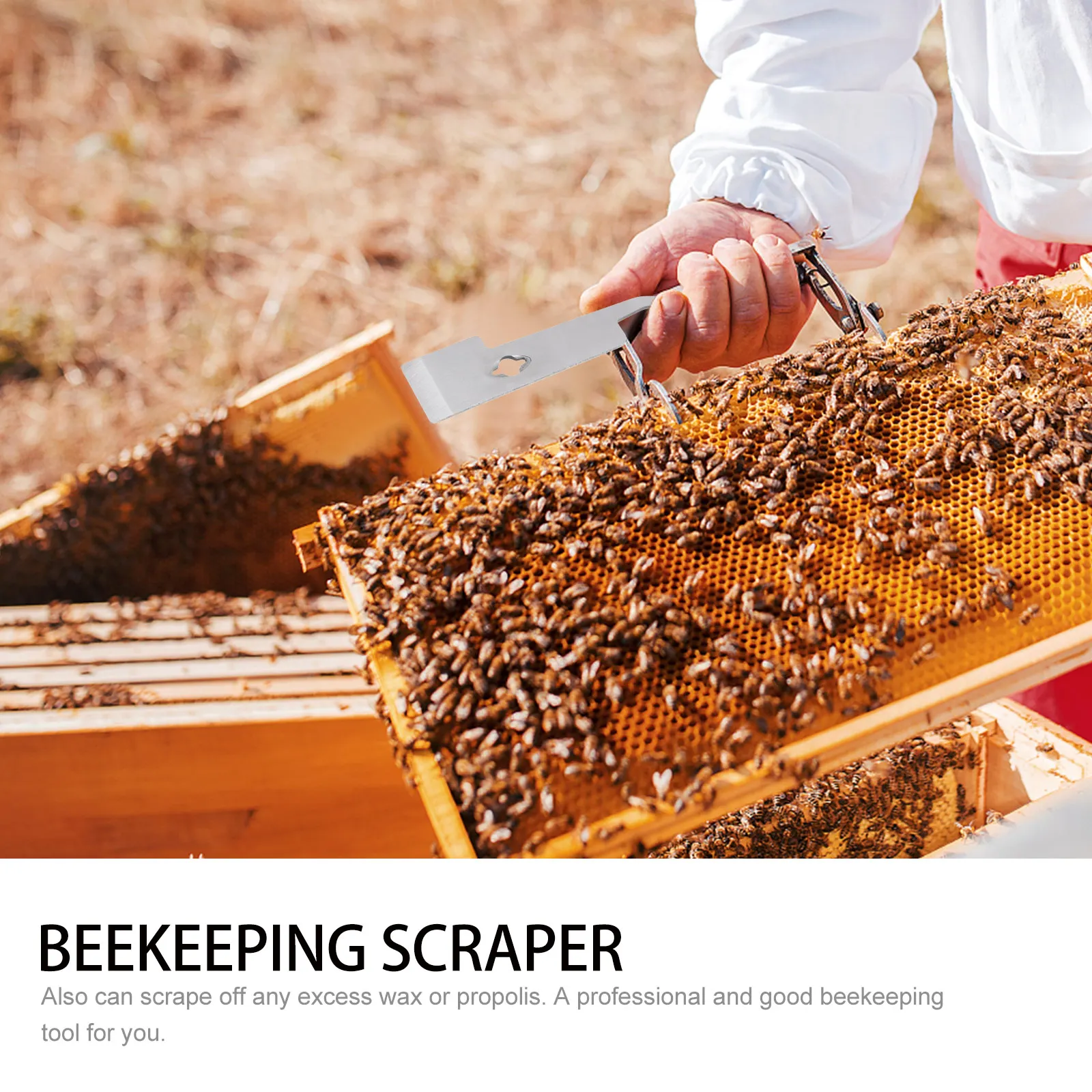 

Stainless Steel Beehive Scraper Practical Beekeeping Tool Hive Frames Separator Easy Storage Silver Honey Bee Supplies