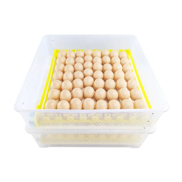 Incubators Eggs GL 112 Incubators For Chickens Eggs Duck Goose Quail Small Factory Direct Supply