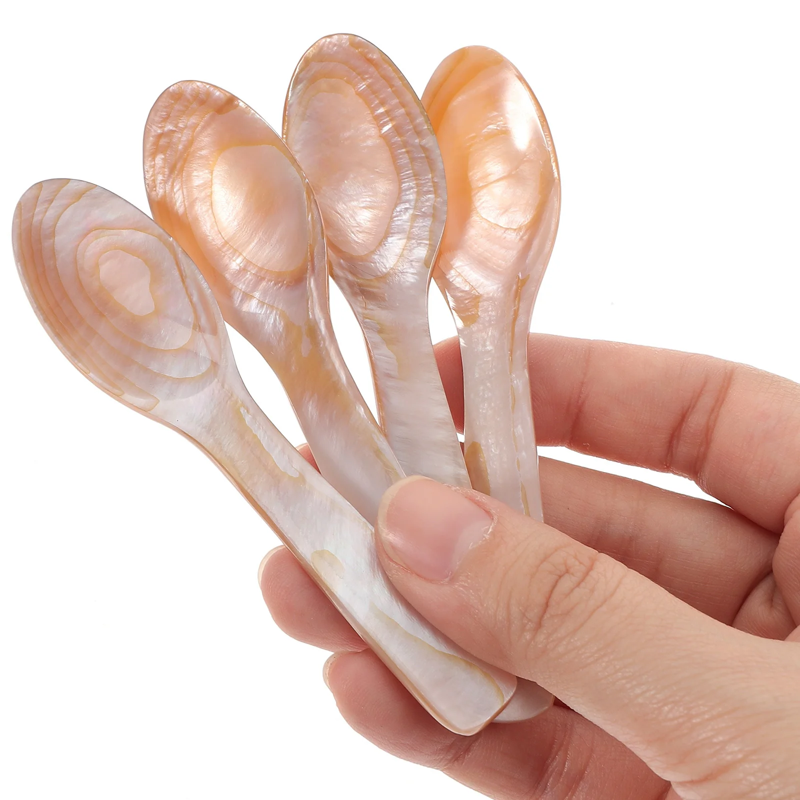 

4Pcs Shell Spoons Natural Material Exquisite Workmanship Beautiful Classy Small Spoon for Coffee Ice Cream Dessert Serving