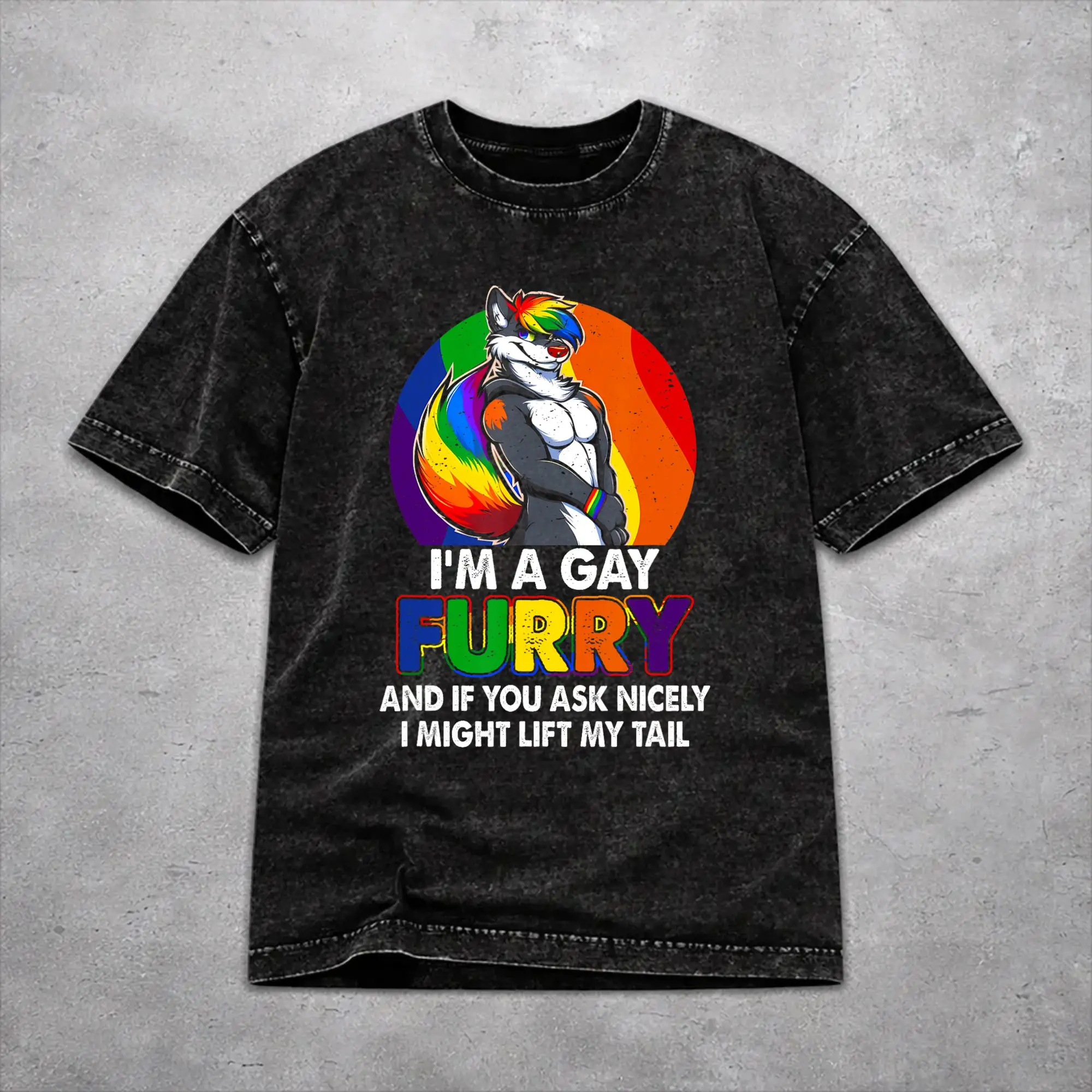 I'm A Gay a Furry Rainbow Fox Wolf Pride Month  T Shirts Hip Hop Washed Cotton Harajuku T-Shirts  Vintage Men Women Streetwear