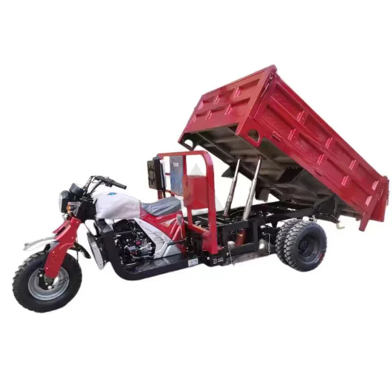 Heavy Duty Adult Truck 3 Wheels Cargo gasoline Agricultural Tricycle