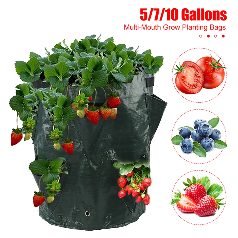 

Multi-Mouth Grow Bag 10 Gallons Strawberry Tomato Planting Bag Greenhouse Vegetable Grow Bag Garden Balconies Flower Planter Pot