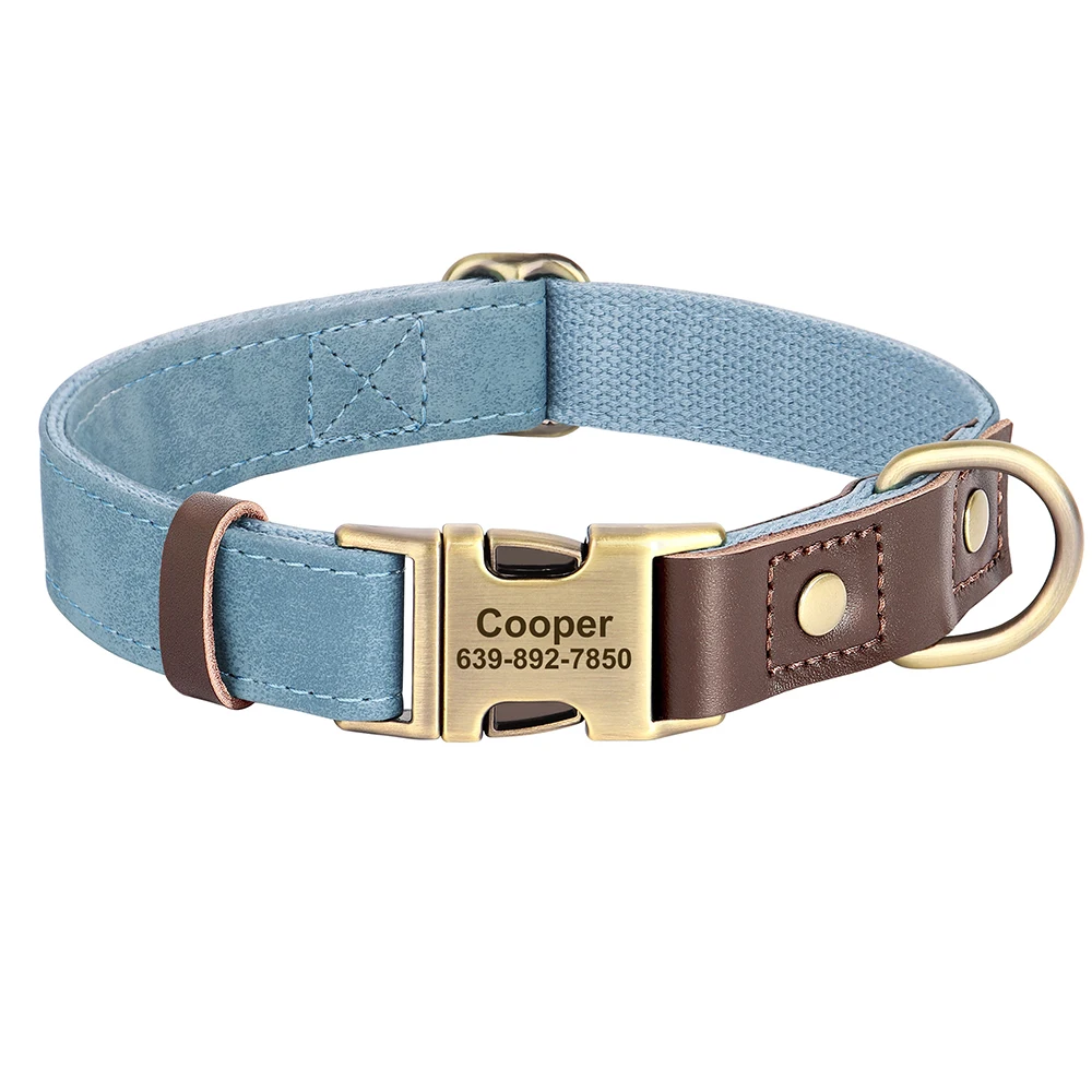 Thumbnail 2 - #69 Best Pet Collars to Buy In 2026