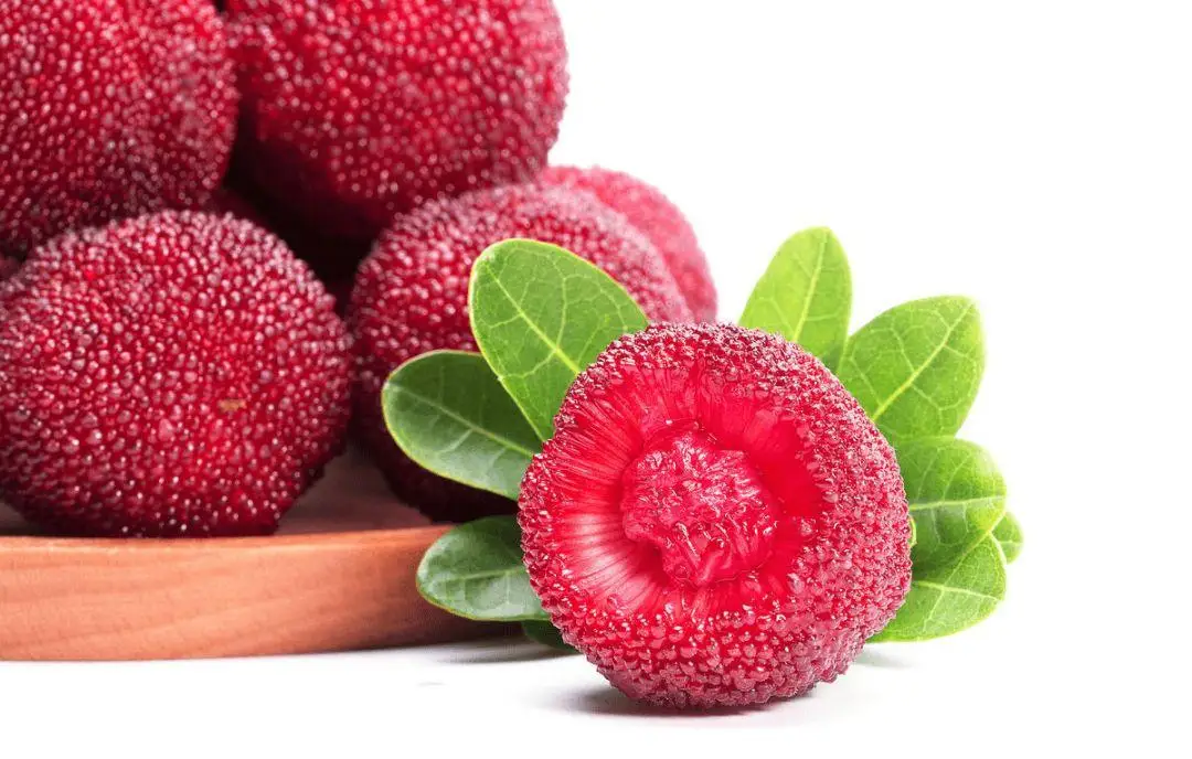 

Brushless Motor Heatsink + Fan Cooling 380/540 Heat Sink Cover Electric Engine For RC model Car HSP 7014