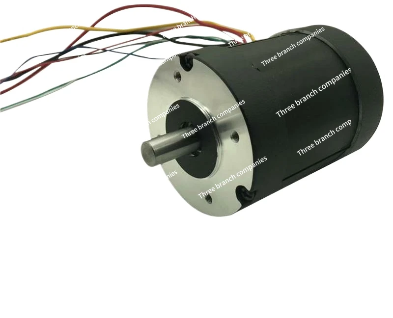 

DC Brushless Motor for Garden Tool Mower 24V 48V High Power 300w 400w 500w