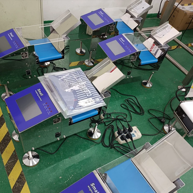 Customized Small Professional Conveyor Belt Weighing Machine Food Industry Testing Scale for Precision Measurement