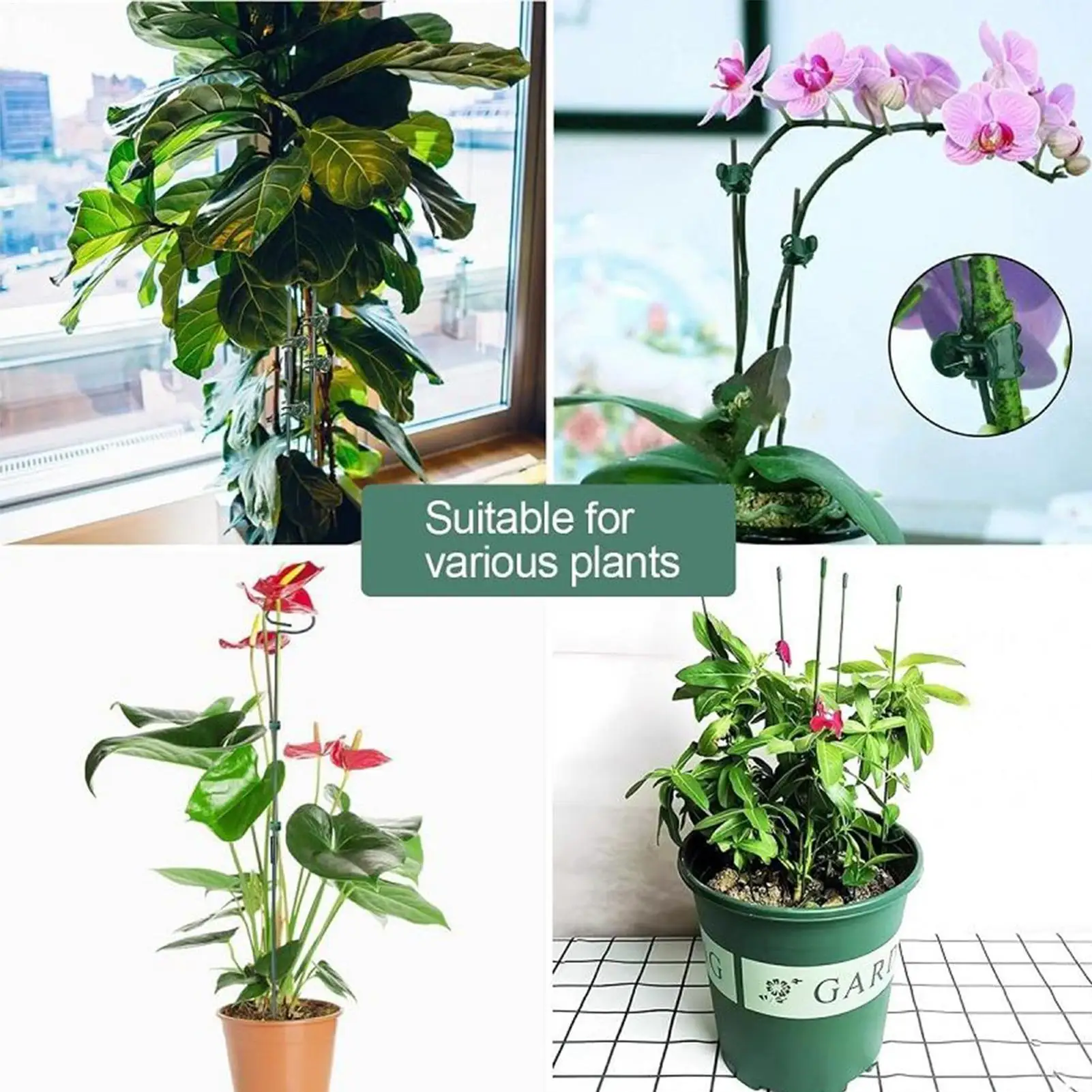 

Adjustable Garden Single Stem Sticks Plant Support Stakes with Clips for Indoor Outdoor Plants Flowers Tomatoes Strawberry