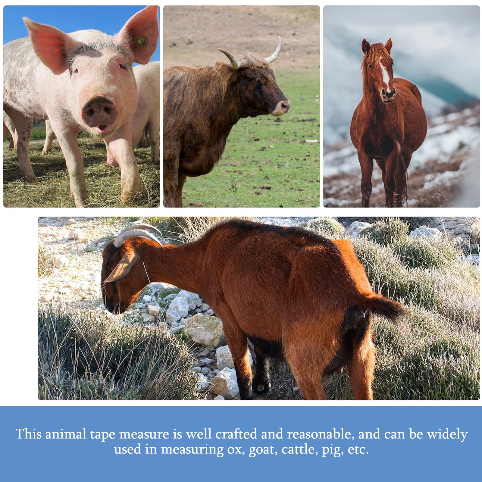 

Livestock Tape Measure Animal Weight Measuring Tape Cattle Waist Pig Goat Horse Portable Accurate Clear Scale Lightweight