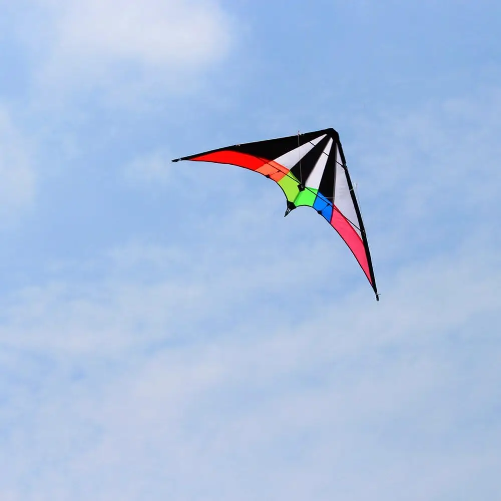 NEU kommen 48-Zoll-Regenbogen-Profi-Dual-Line-Stunt-Drachen mit Griff und Leine an. Good Flying Factory Outlet – Detail 2