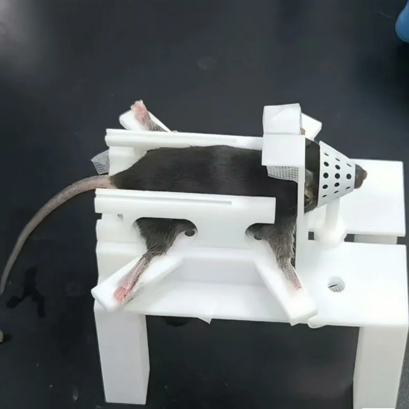 Exposed limbs multifunctional mouse holder for mouse fixation
