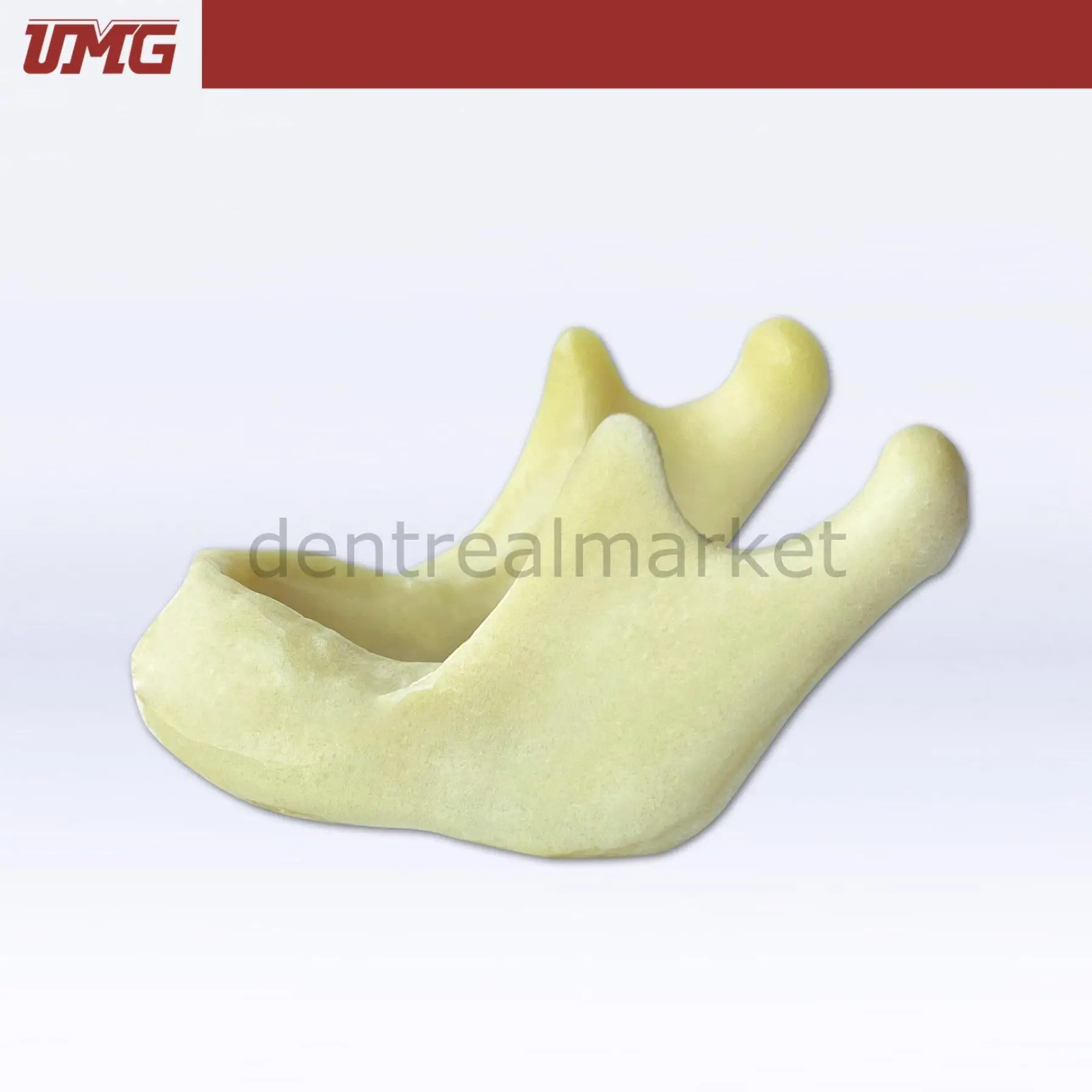 UMG Dental - Umg Model  Drilling Practice Jaw Model - UM-Z2022