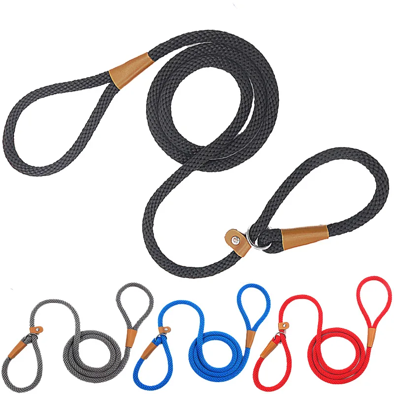 Nylon Pet Leash Outdoor Training Adjustable Dog Leashes All-in-one Rope P Style Dog Collar and Leash Large Medium and Small Dogs