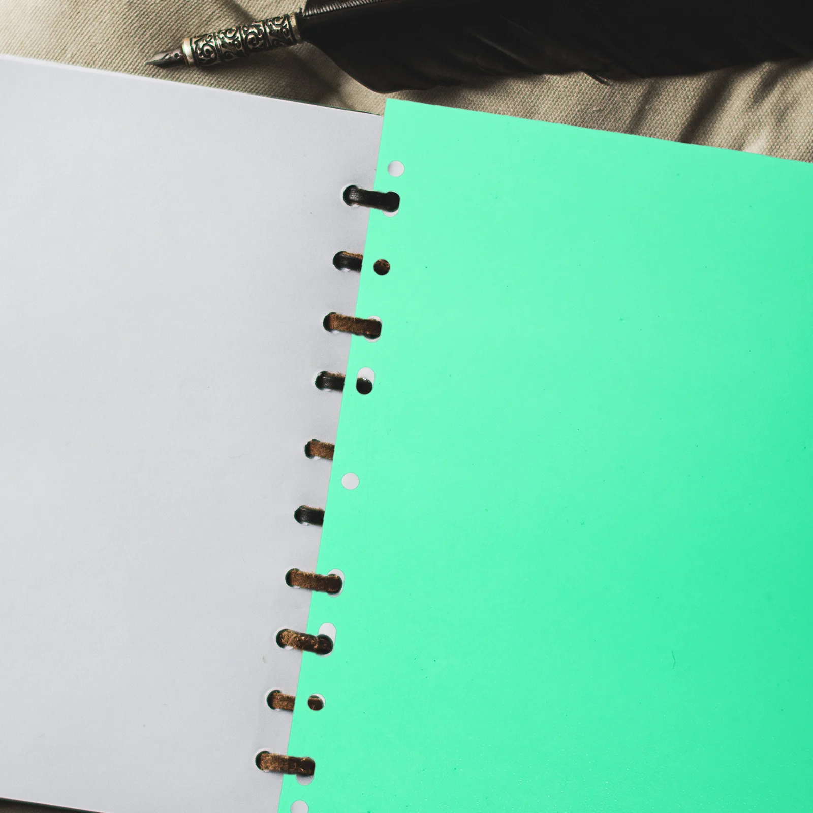 

5Pcs Professional Binder Dividers Colorful Design Easy Reference High-Class PP Material A4 Folder Binder Dividers