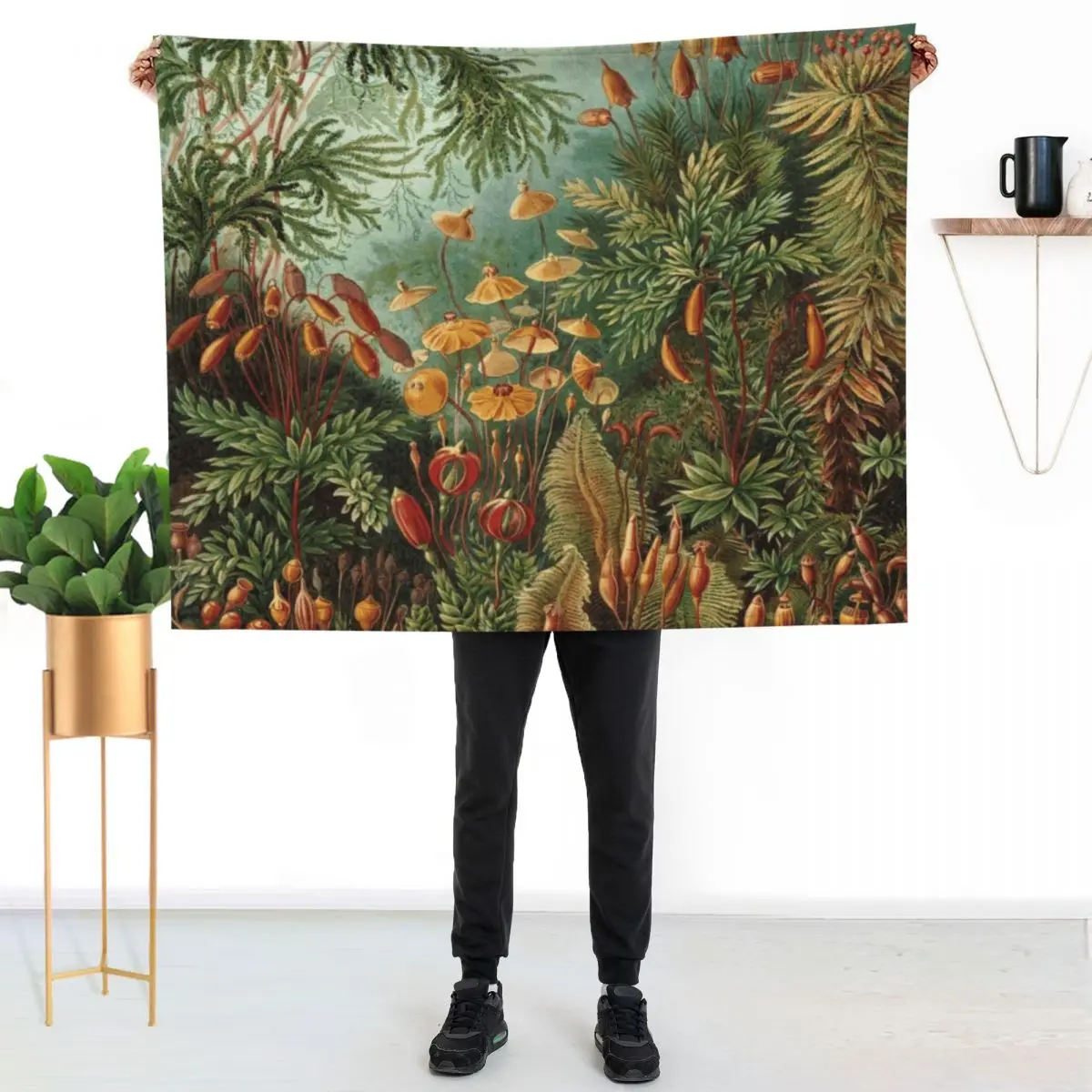 Haeckel Muscinae Drawing Throw Blanket for sofa Bed Fashionable Bed covers Designers Luxury Brand Nap Blankets