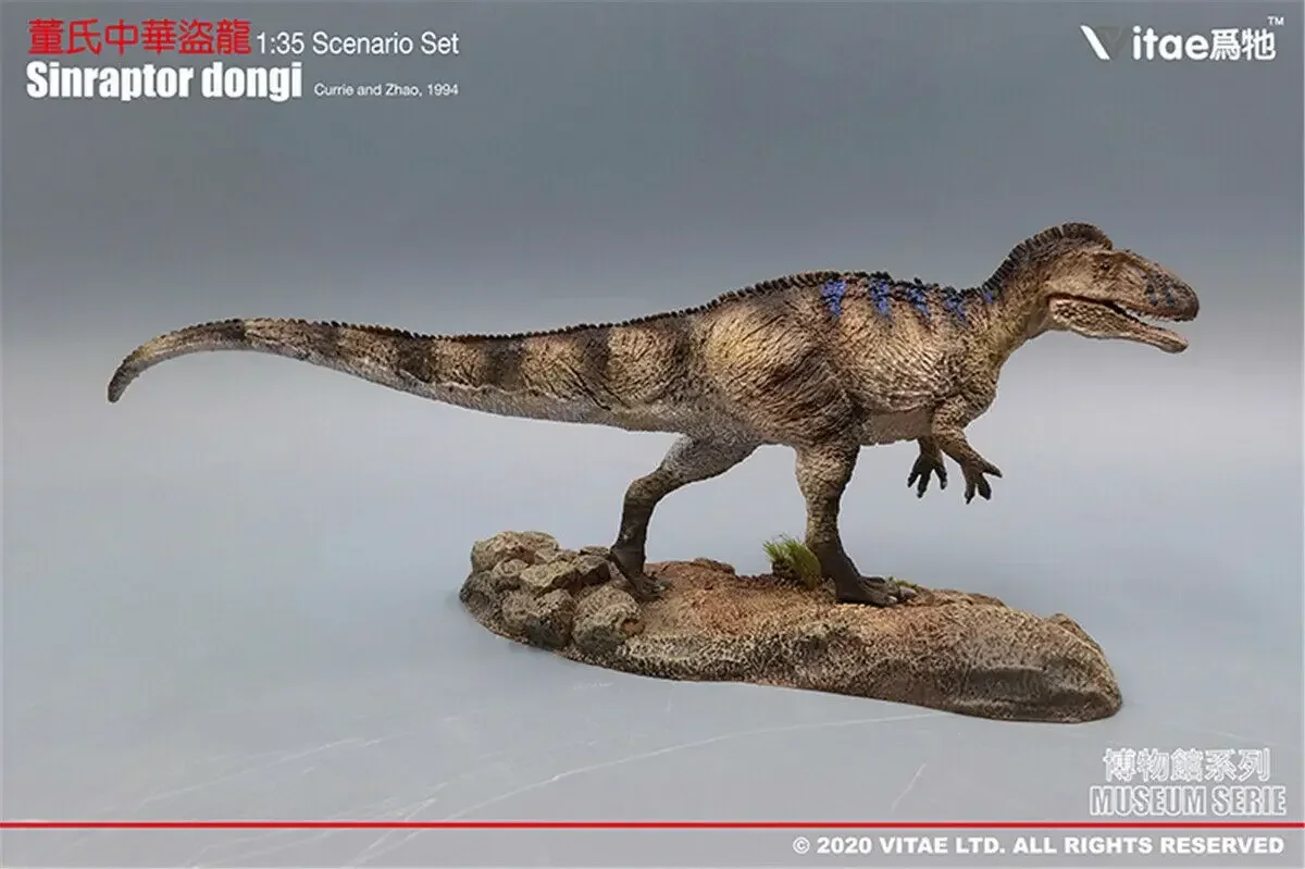 IN STOCK! Vitae 1:35 Scale Sinraptor dongi Figure Theropoda Dinosaur Toys Animal Collection Decoration Adults Gift