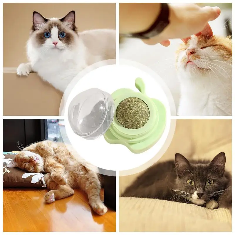 The Catnip Cat Wall Stick-on Ball Toy Scratchers Treats Healthy Natural Removes Balls to Promote Digestion Cat Grass Snack