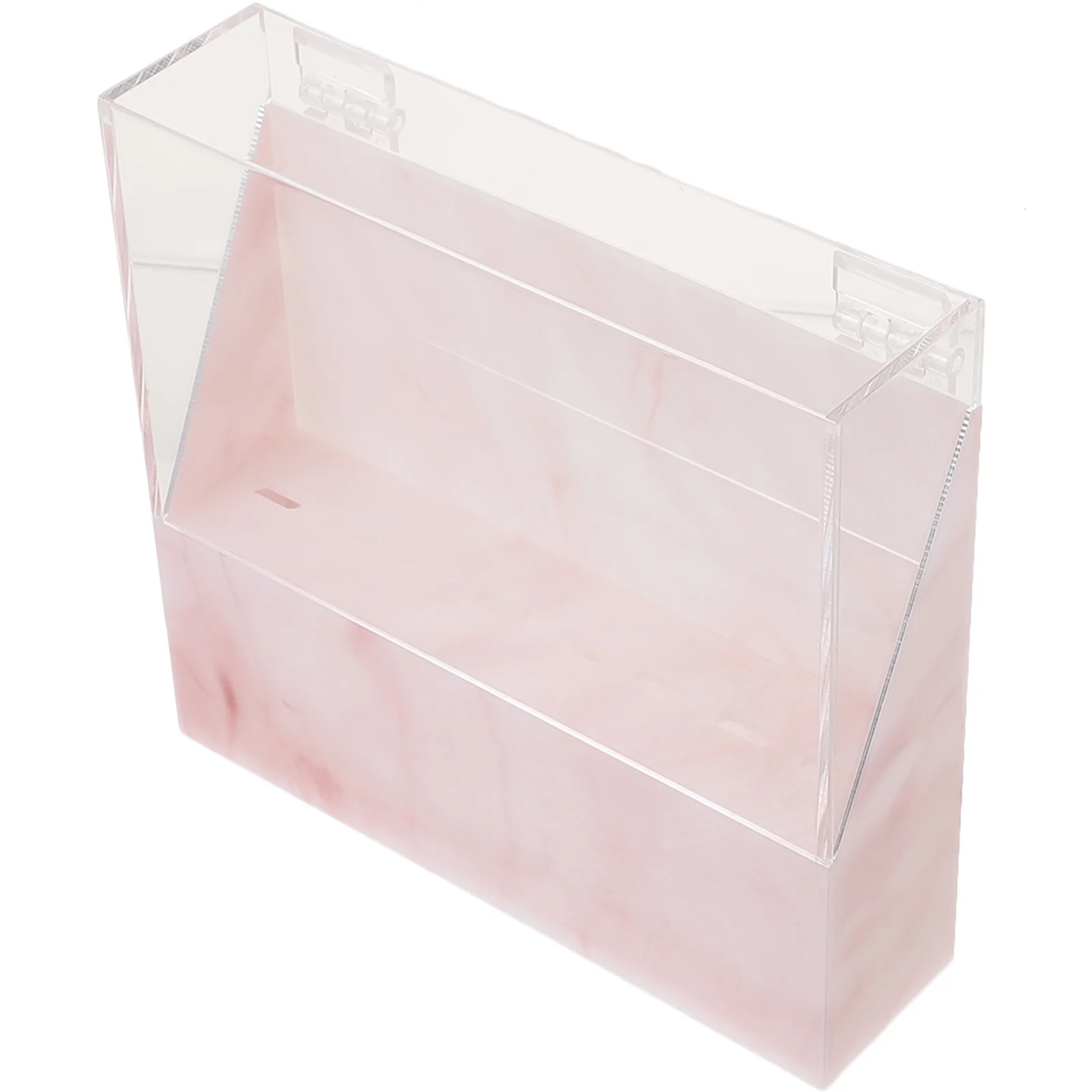 ماكياج أداة الحاويات الاكريليك الملقط صندوق تخزين ل رمش تمديد حامل رف صالون تجميل المنظم حقيبة للتخزين