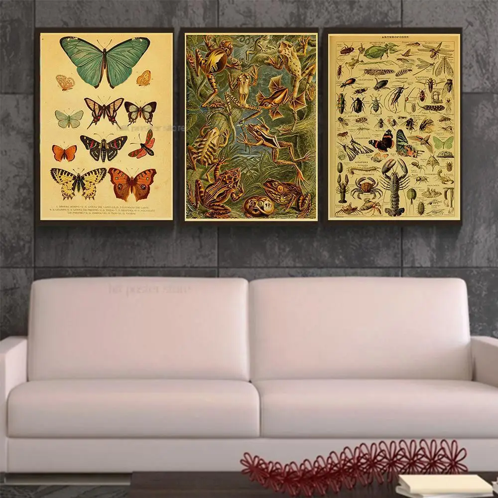 NEW!Botanical Educational Posters Butterfly Insect Fruit Birds Fish Animal Kraft Paper Vintage Home Bar Cafe Decor Wall Painting