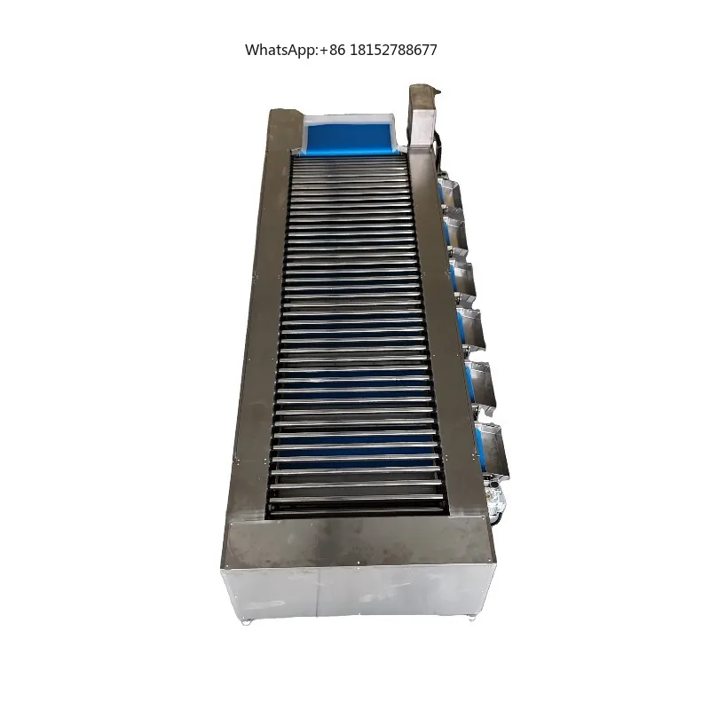 Commercial Automatic Eco-Friendly Fruit Vegetable Sorting Grading Machine Size Roller for Potato Onion Tomato Lychee Kiwi