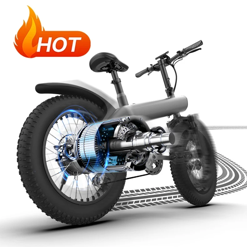 2024 China New Q3 20 Inch Tire 750W Motor America E Cycle Electric Bicycle Other Bike Electric Fat Tire Bike E Road  Bike