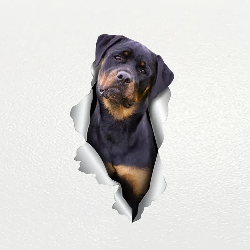 Car Sticker Rottweiler Pet Waterproof Vinyl Decal Car Accessories Decor Pegatinas Para Coche13CM  PVC KK