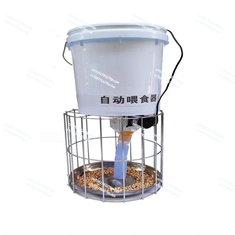 Pigeon Supplies Utensils Automatic Feeder Carrier Pigeon Trough Zhimen Timed Anti-scattering Chicken Feeding Pigeon Feeding