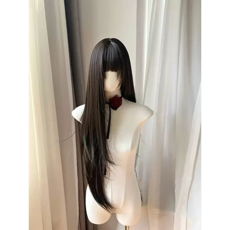 Dark Tea Color Extra Long Straight Wig for Women, High Layer Full Head Synthetic Hair Wig with Natural Hairline for Daily Wear