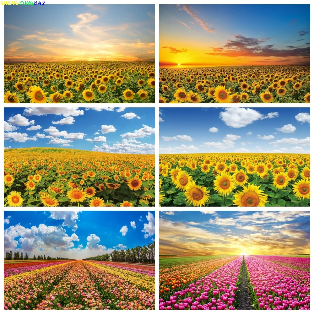 

Sunflower Flower Field Backdrop Tulip Floral Sky Sunset Newborn Baby Shower Birthday Wedding Photography Background Photo Studio