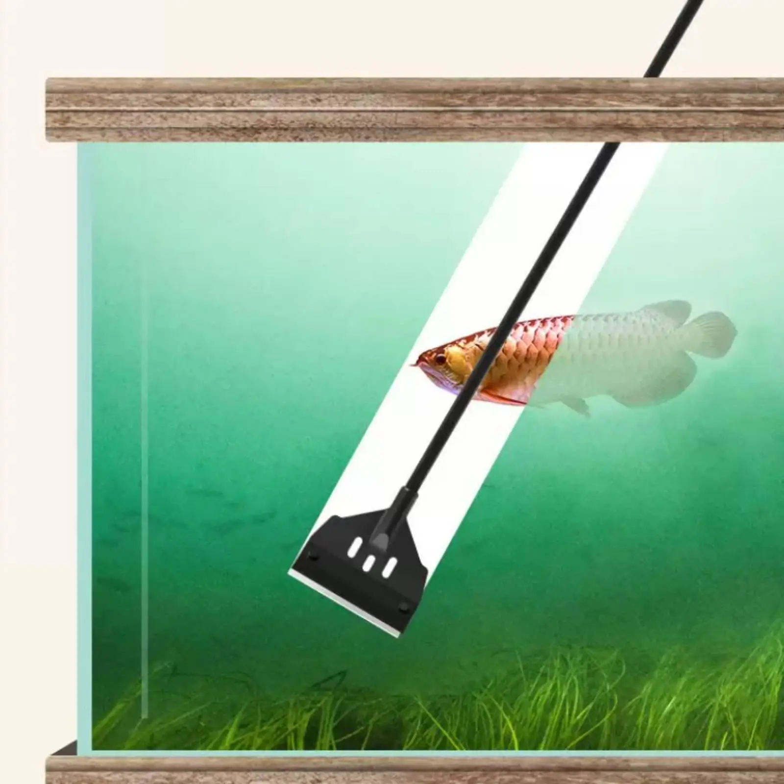 Aquarium Cleaner Aquarium Replacement Scrapers Aquatic Supply