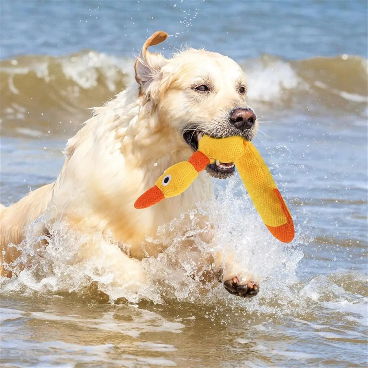 Floating Dog Water Pool Toys 2 Pack for Swimming Pool, Interactive Crinkle Pet Puppy Chew Toys for Play and Training