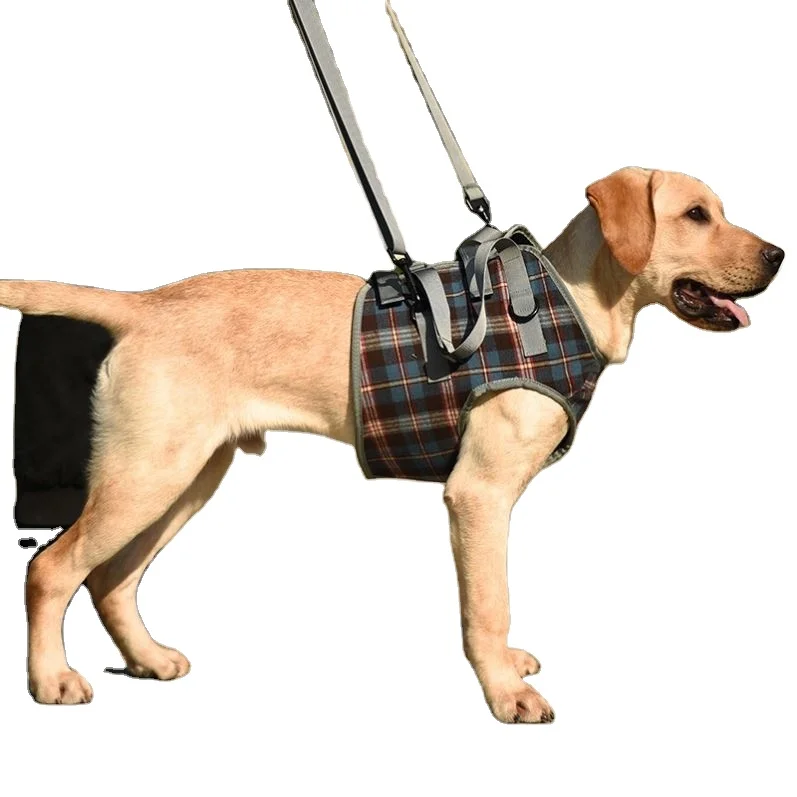 

Dogs Belt Dog Seat Belt Professional Elderly Disabled Pet Accessory Old Dog Hind Leg Accessory Pet Leash