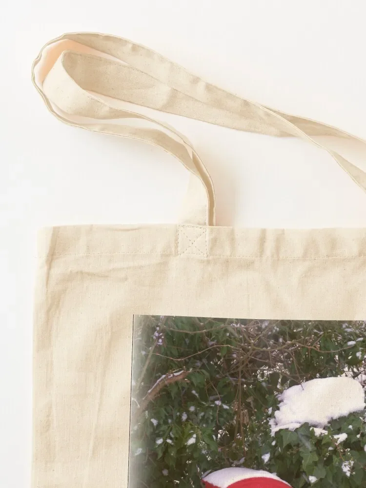 الشتاء صندوق البريد حمل حقيبة اليد حقائب امرأة 2025 حقيبة مخصصة القماش