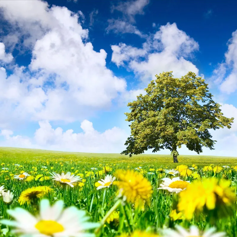 

iFlight Pro Plate Kit For SONY ZV-E10 Camera Mount Drone Parts Compatible with Chimera7 Pro/7 ProV2 Frame