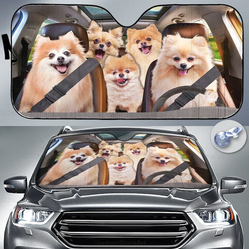 Pomeranian Car Sunshade, Windshield Sunshade, Pomeranian Sunshade, Auto Sunshade Car, Pomeranian Car Decor, Husband Gifts, Car S
