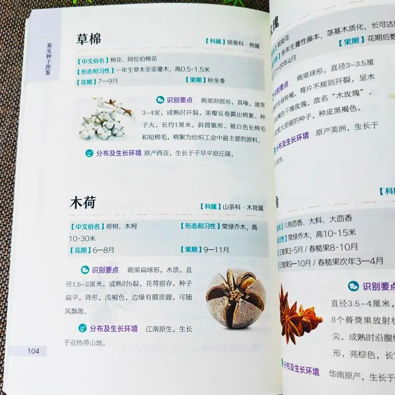 Official Fruit Seed Identification Guide High Definition Color Photos Observation Handbook Science Encyclopedia Field Guides New