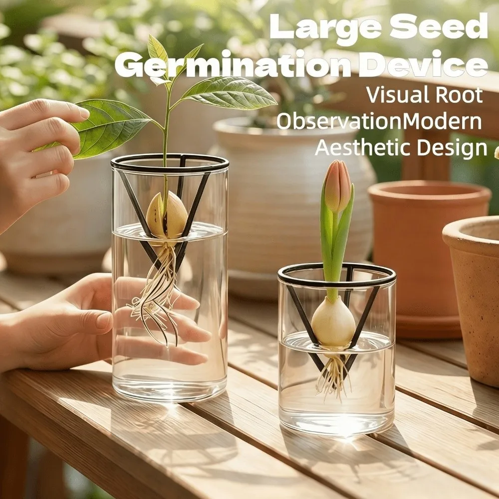 3Pcs Cone-shaped Avocado Growing Triangular Holder Floating Plastic Avocado Germination Stand Stable Soil-less