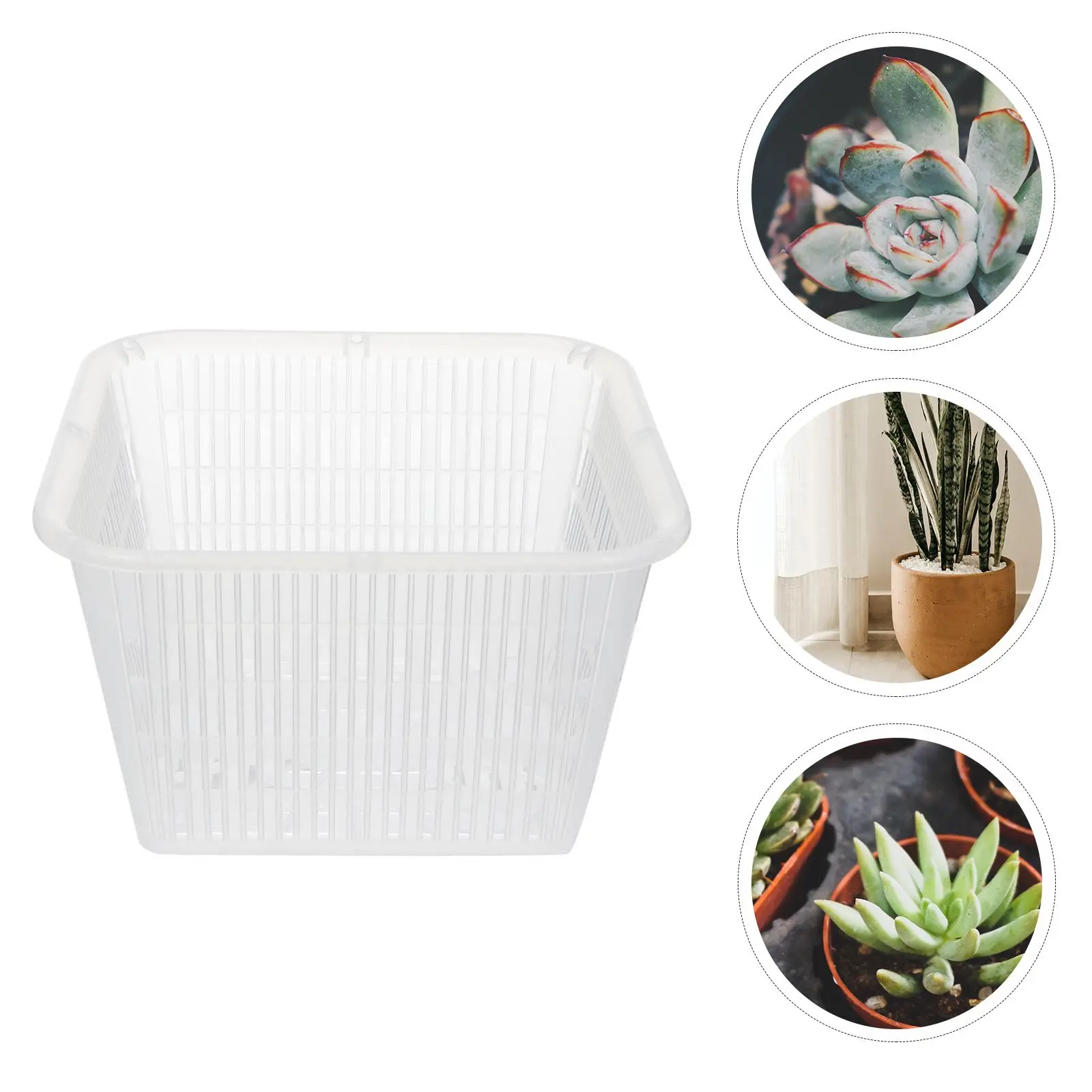 Hemoton Hydroponic Planter Orchid Pots Set Plastic Planter Succulent Flower Pots Indoor Outdoor Plants Black Pots