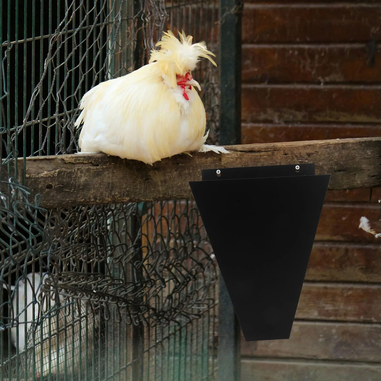 

Chicken Bleeding Stainless Steel Poultry Processing Equipment Easy Installation Efficient Size Identification Turkey Kill