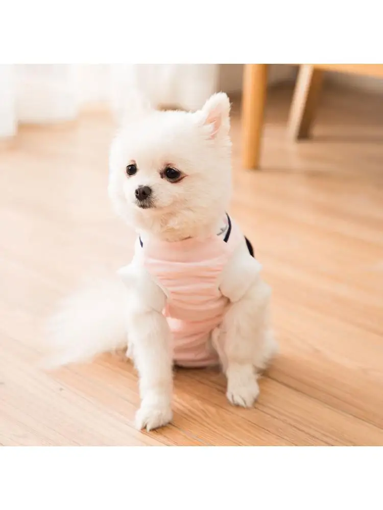 Teddy Sanitary Napkin For Female Dog Safe Menstruation Bixiong Pet Underpants