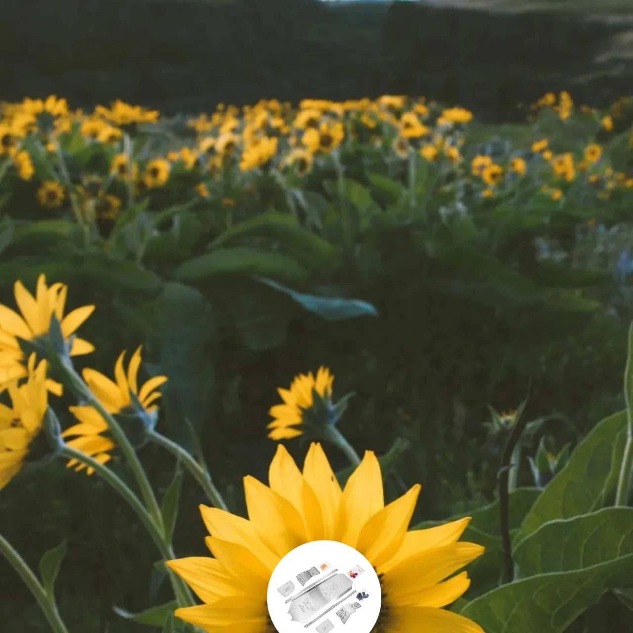 

GPM Stainless Steel Chassis Protection Plate For ARRMA 1/7 Big Rock 6S