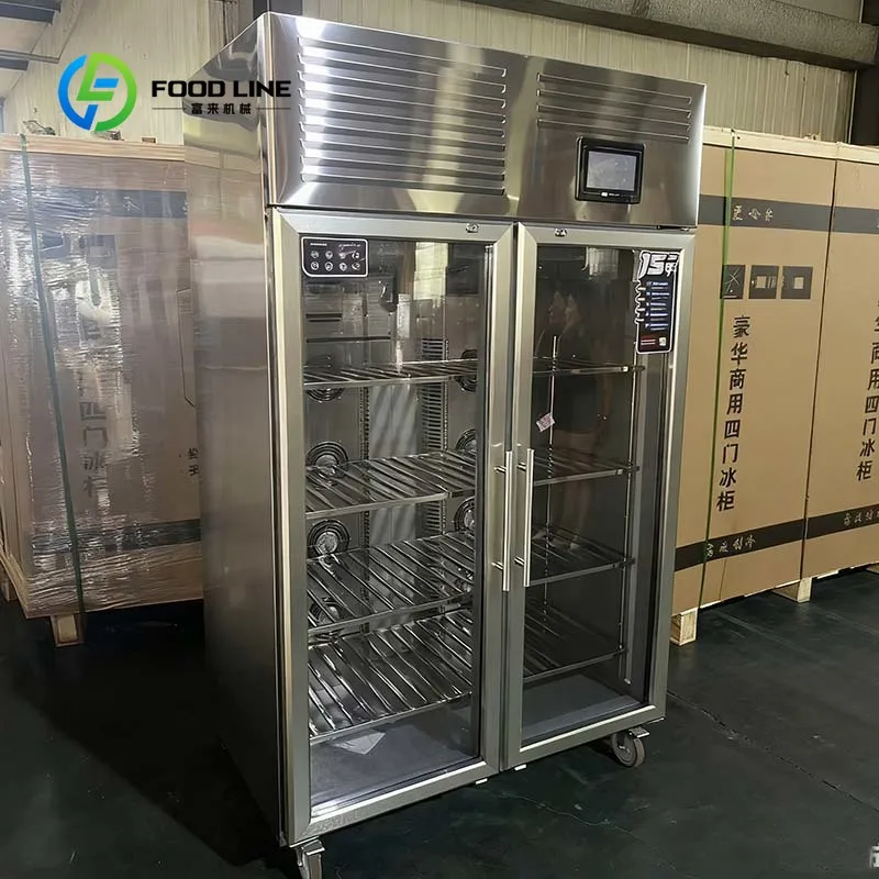 Low Operating Cost Thawing Cabinet Commercial Electrostatic Defroster Temperature High Humidity for Meat Seafood customized